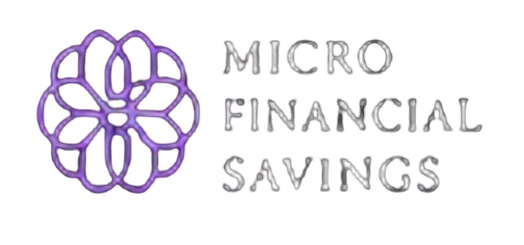 MICRO FINANCIAL SAVINGS